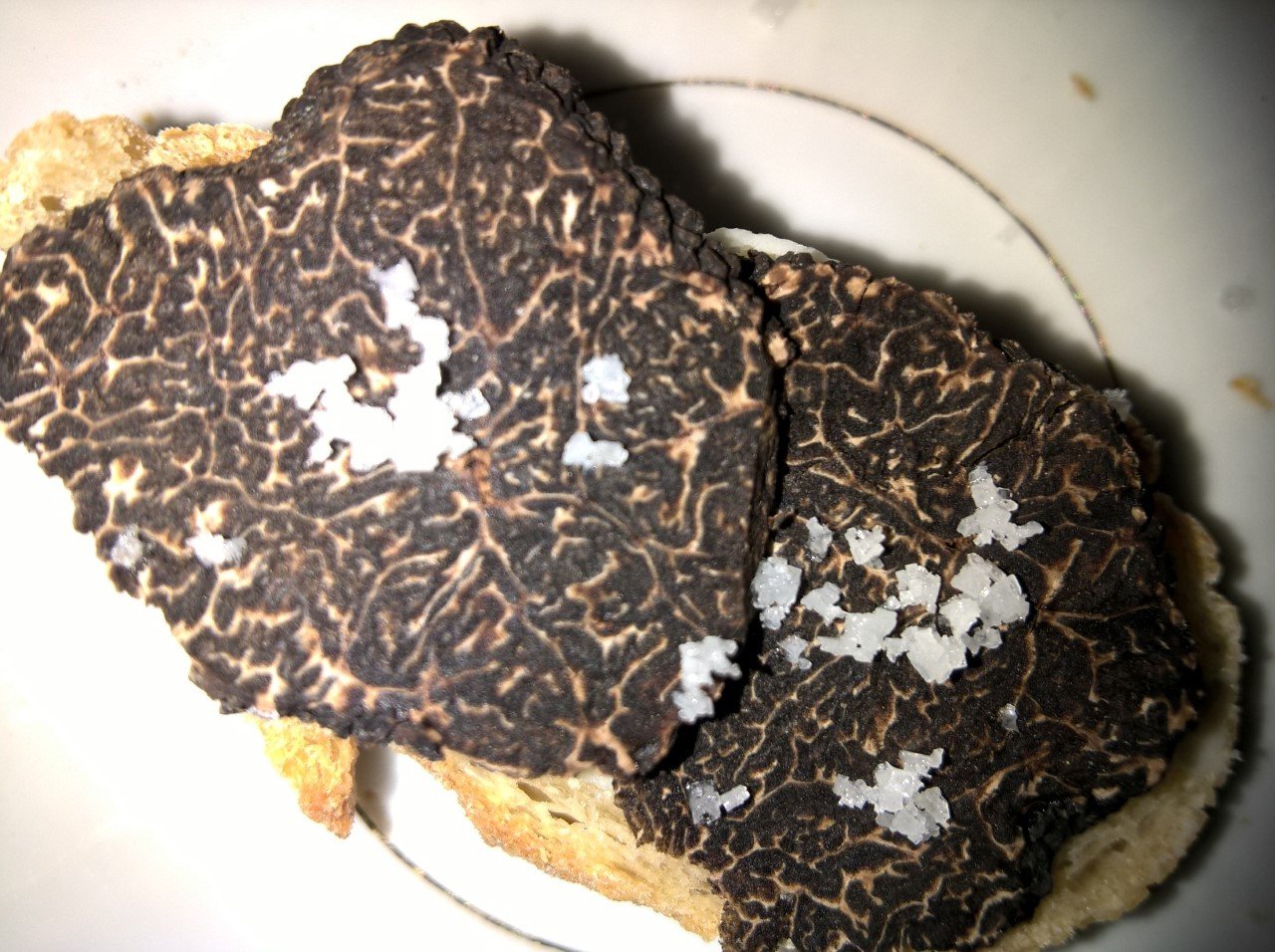 truffe noire melanosporum